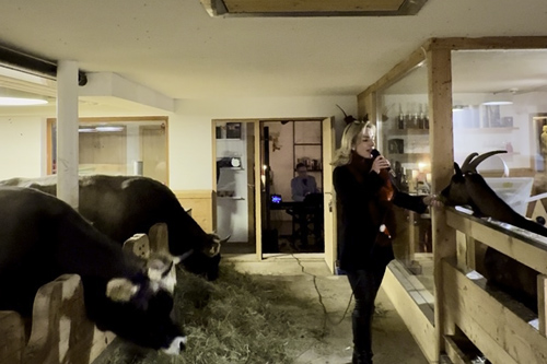 06.12.2024 Adventskonzert mit Georg Derks (p) im Hintergrund vor sehr besonderem Publikum 😉 im Muxelhof/Atelier La Marie/Hotel Mohnenfluh, Oberlech /Austria